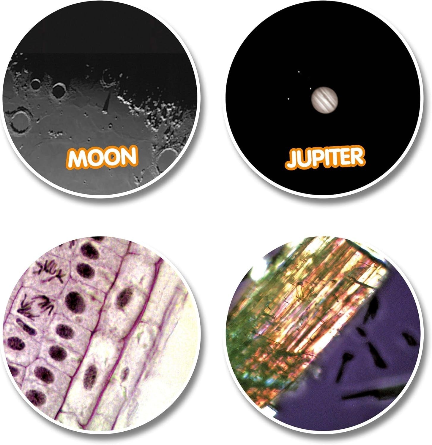 50/600 Telescope Microscope 640x Smartphone Adapter Kit Black