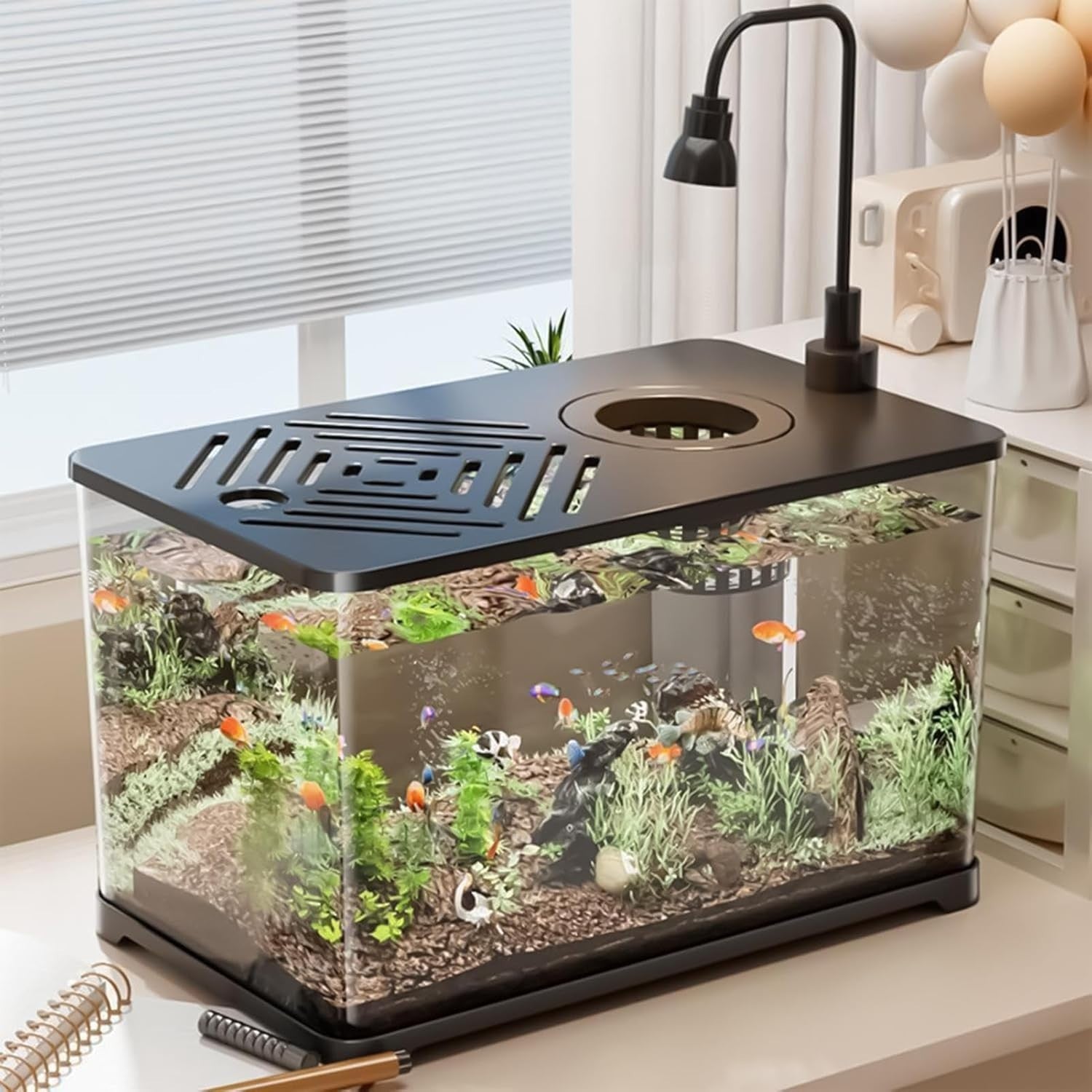 Large Desktop Aquarium for Betta, Turtle Sunbathing & Shrimp Tank