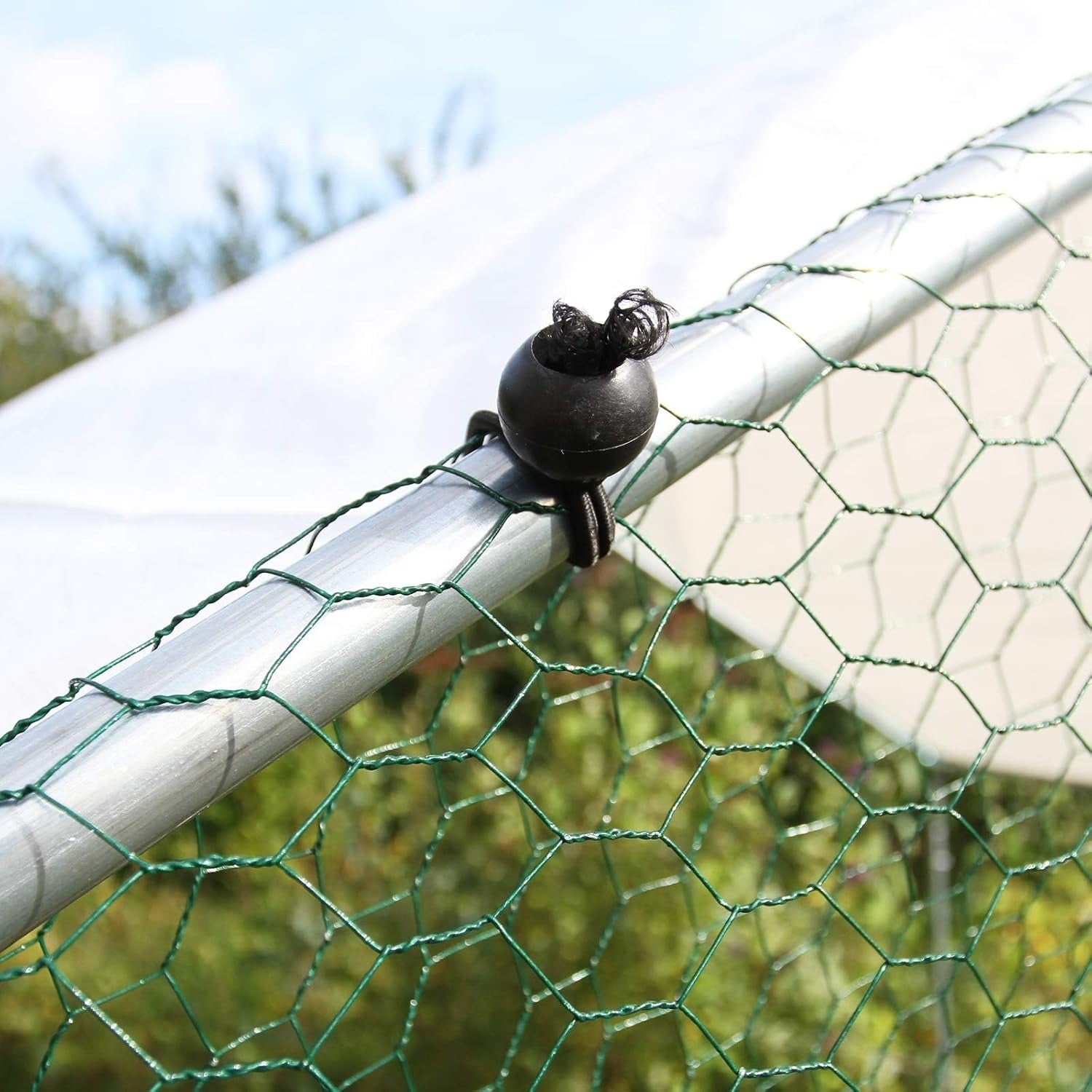 Walk In Chicken Run 3x2x2m Galvanised Steel Coop Pen