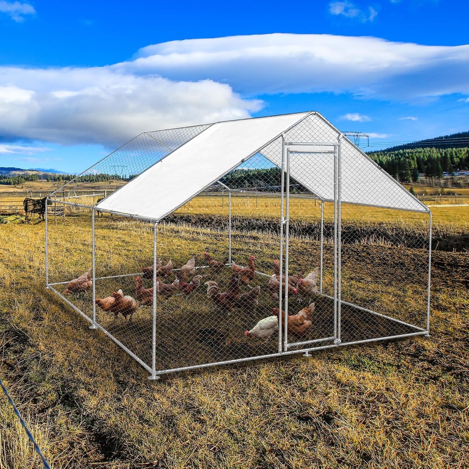 Walk In Chicken Run 4x3x2m Galvanised Steel Coop Pen