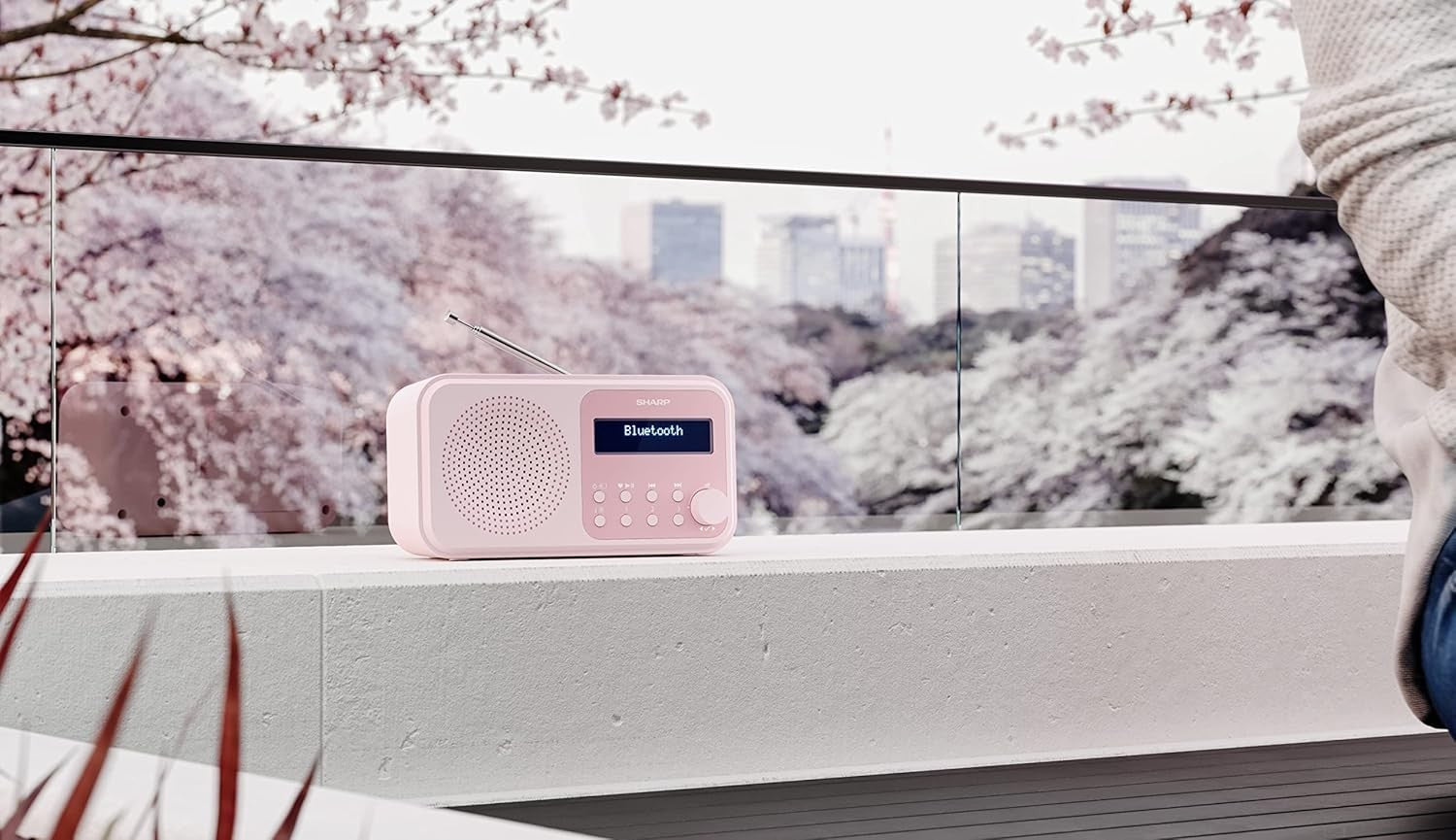Portable DAB+/FM Digital Radio Bluetooth 5.0 Dual Alarm USB Pink