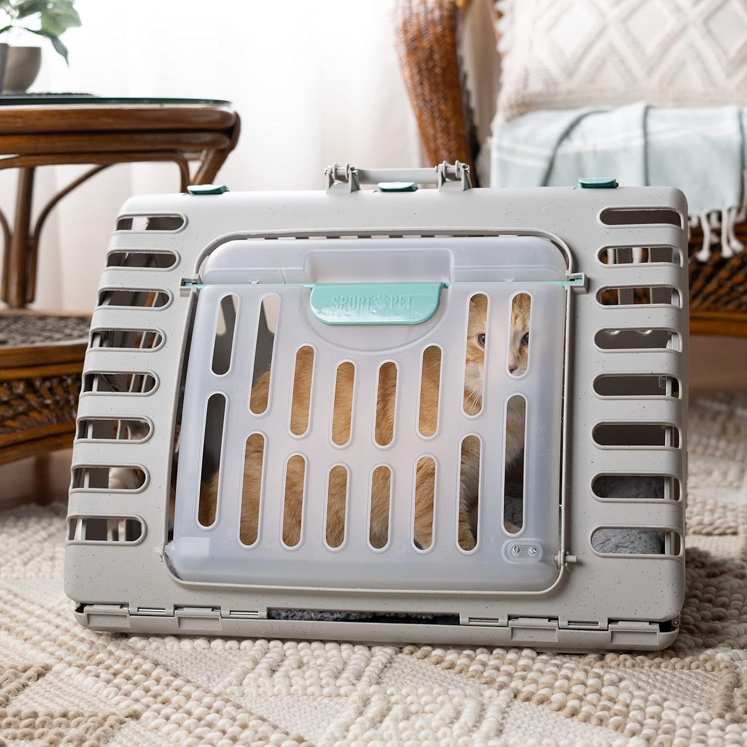 XL Collapsible Cat Carrier 58x47x43cm Foldable Crate + Washable Bed Travel