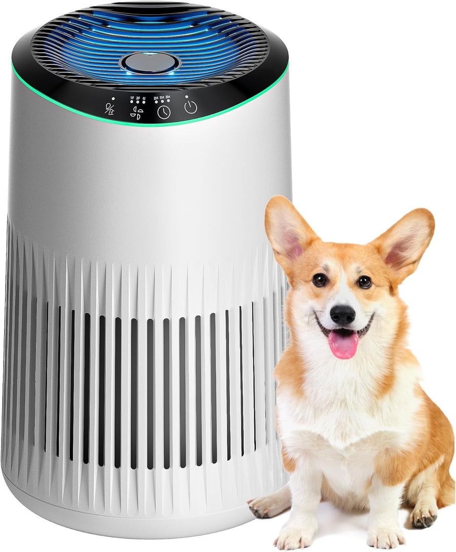 Small Air Purifier for Home Smoke Pet Odors 22dB Quiet Sleep Mode