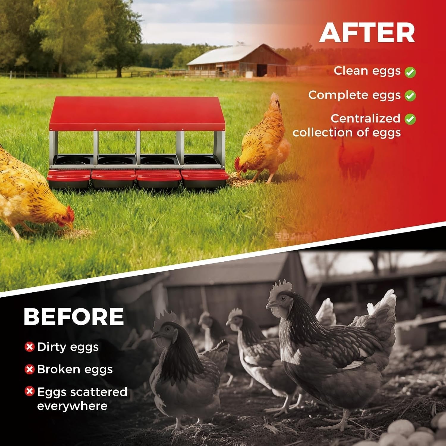 4 Chamber Galvanised Steel Chicken Nest Box Pull Out Tray