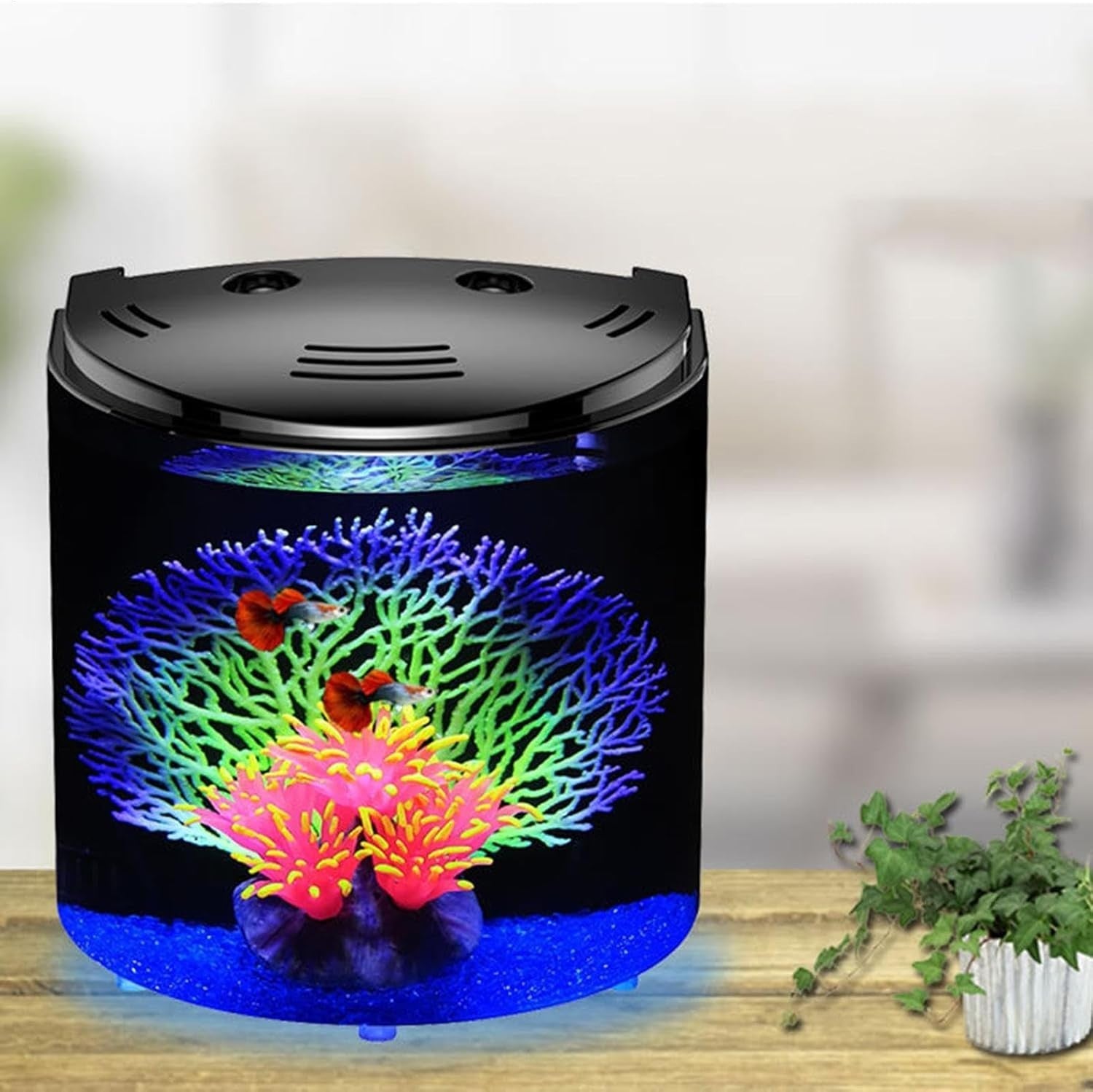 Small Acrylic Fish Tank w/ Filter Light Pump Desktop Aquarium Bowl