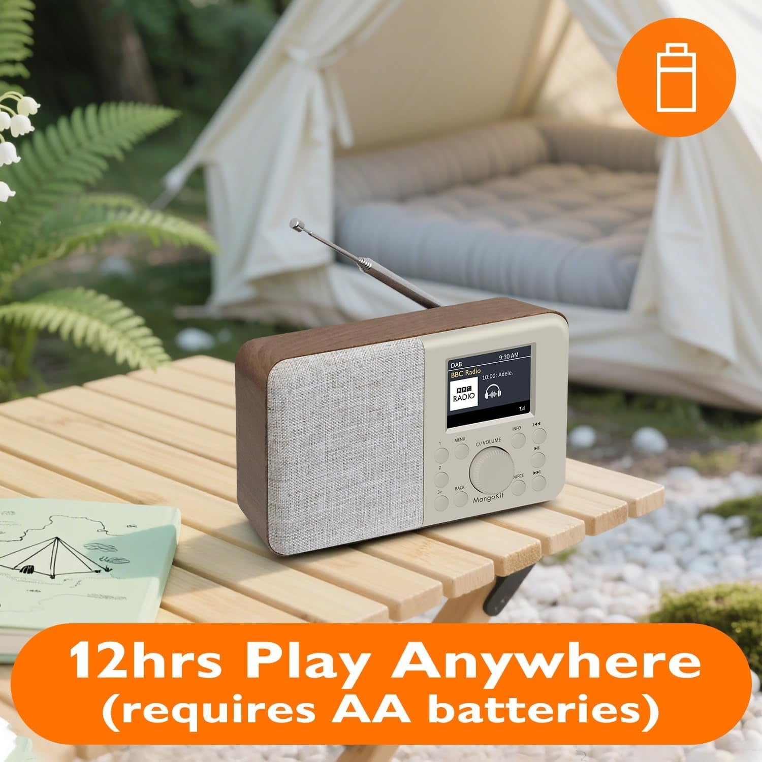 DAB DAB+ Digital Radio Bluetooth Portable Alarm Colour Display USB-C