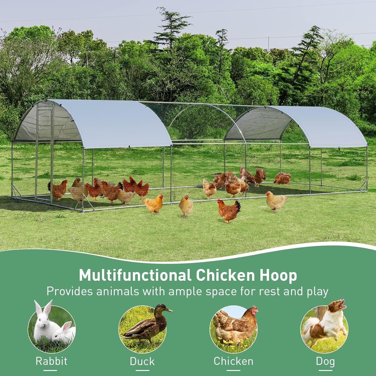 Extra Large Walk In Chicken Run 7.6x2.8m Galvanised Coop Cover