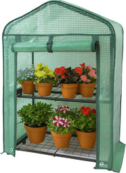 2 Tier Mini Greenhouse Shelves, PE Cover, Roll-Up Door, 55x45x85cm