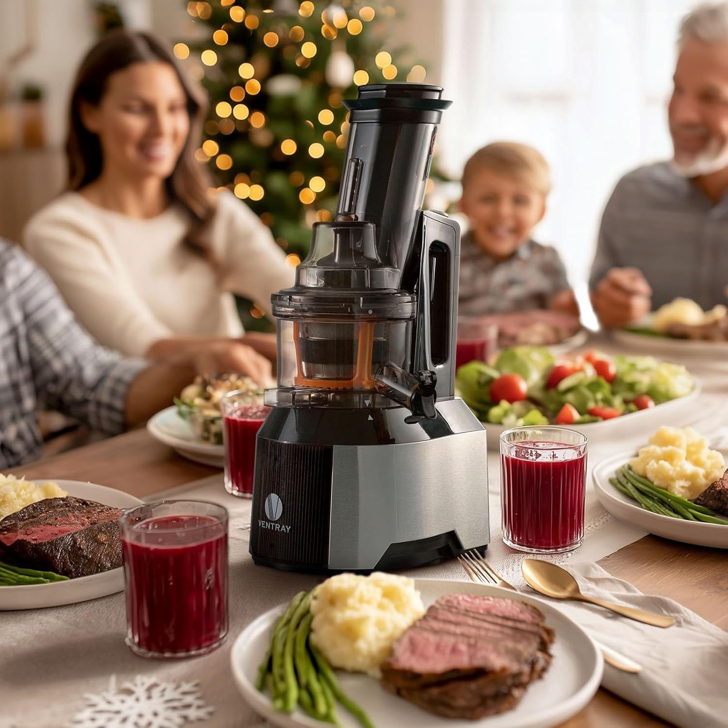 Slow Cold Press Juicer 65RPM Quiet Motor High Yield BPA Free