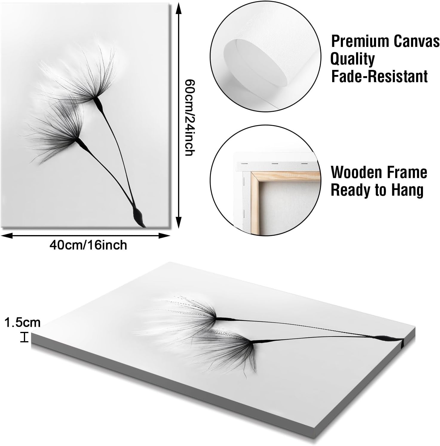 Set of 3 Black White Dandelion Canvas Wall Art Framed