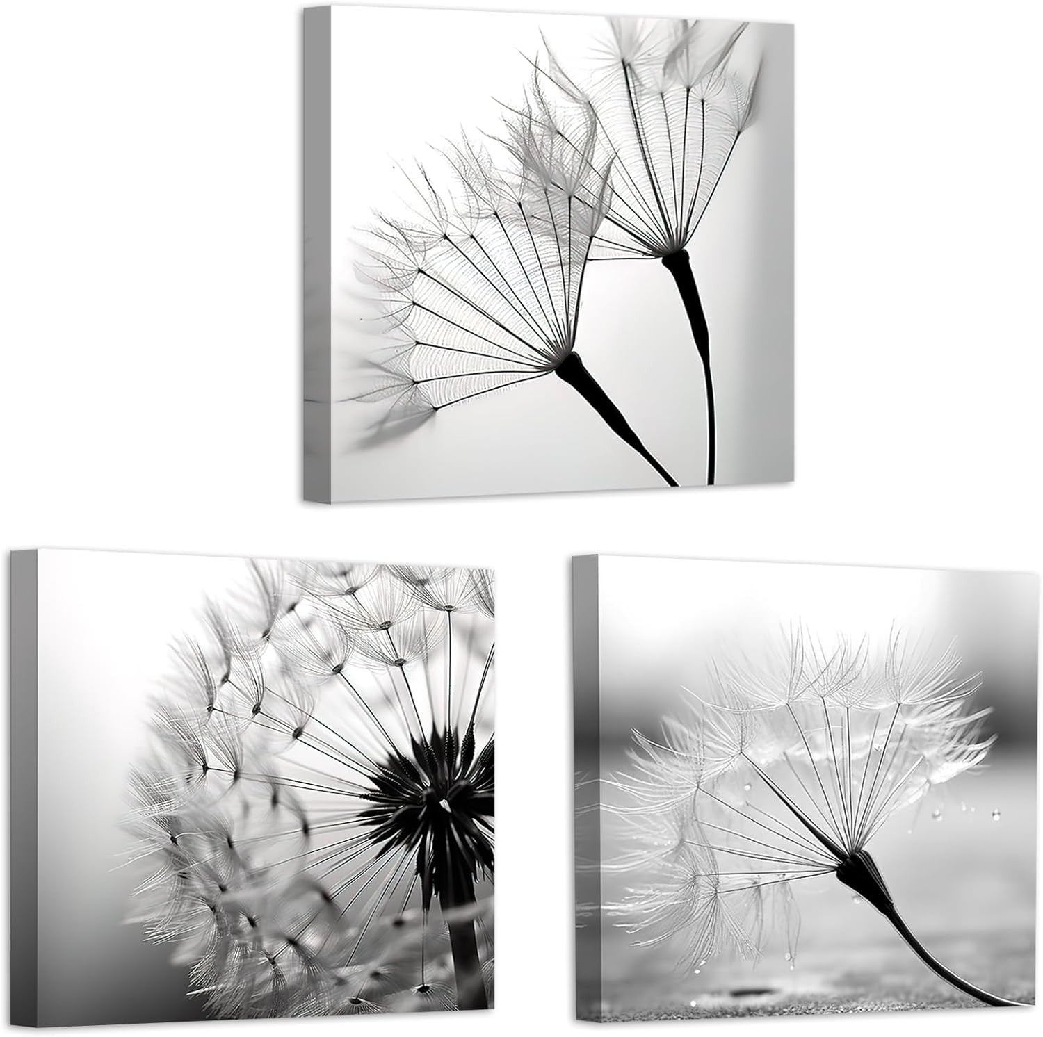 3-Piece Black & White Dandelion Canvas Wall Art 12"x12" Framed