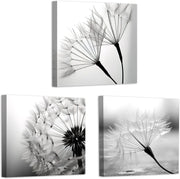 3-Piece Black & White Dandelion Canvas Wall Art 12"x12" Framed