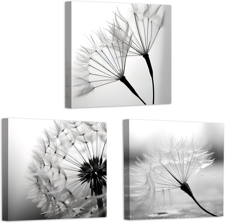 3-Piece Black & White Dandelion Canvas Wall Art 12"x12" Framed