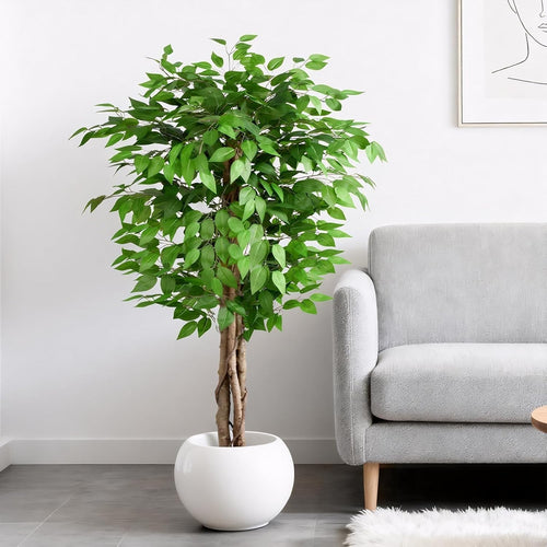 5ft / 150cm Artificial Ficus Tree w/ Curved Trunks Green Leaf Indoor Home Decor