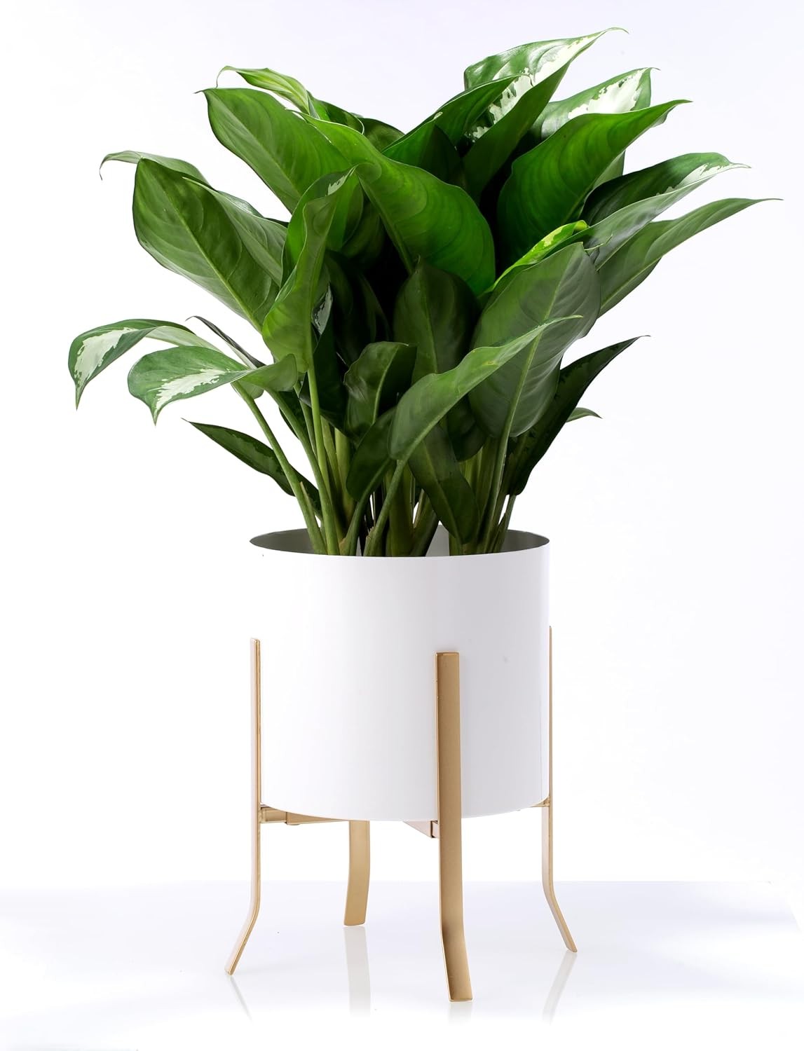Adjustable Gold Metal Plant Stand Indoor Outdoor Fits 8–12 Inch Pots Modern