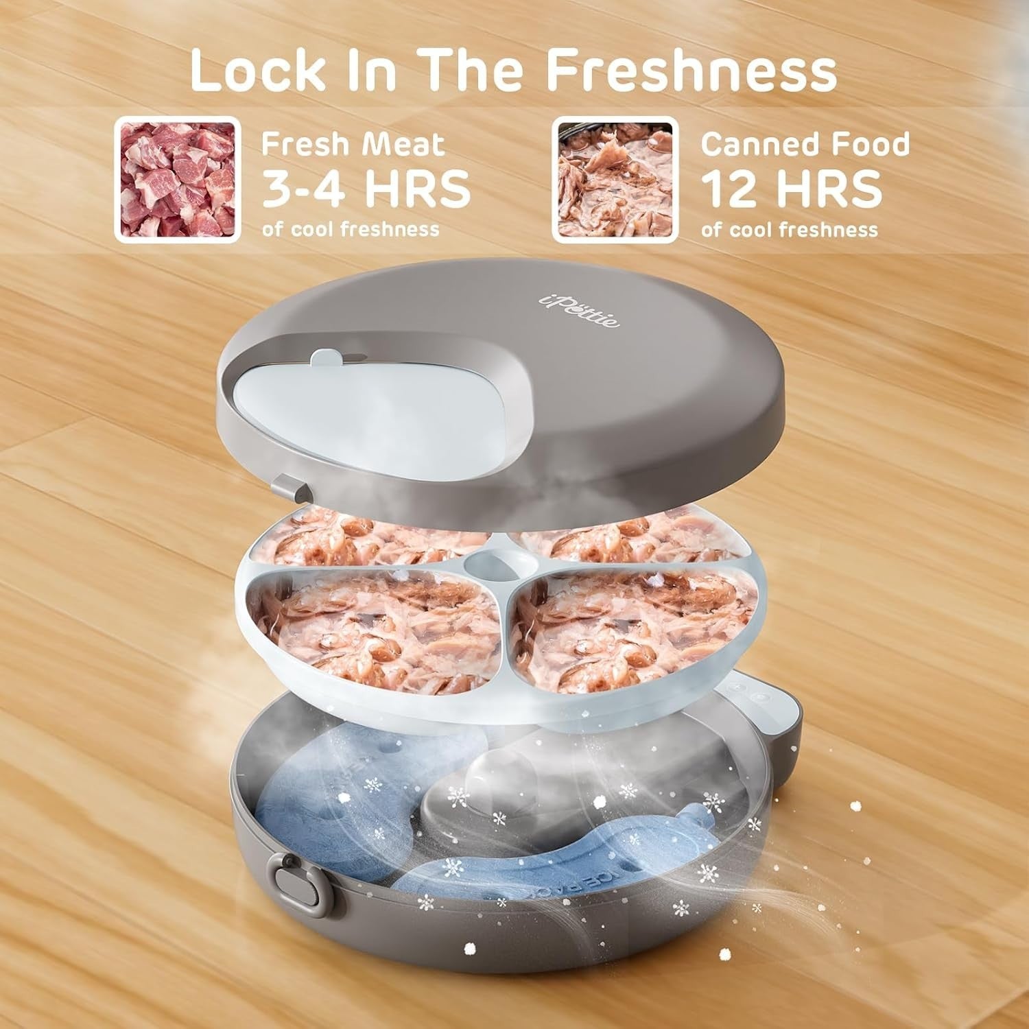 Automatic Wet Cat Feeder 4 Meal Timer Ice Packs Whisker Friendly Tray