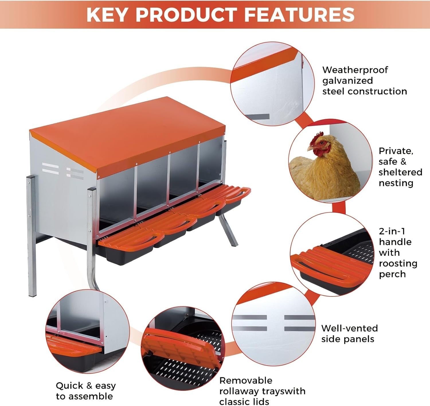 4 Chamber Steel Chicken Nest Box with Stand Pull Out Egg Tray