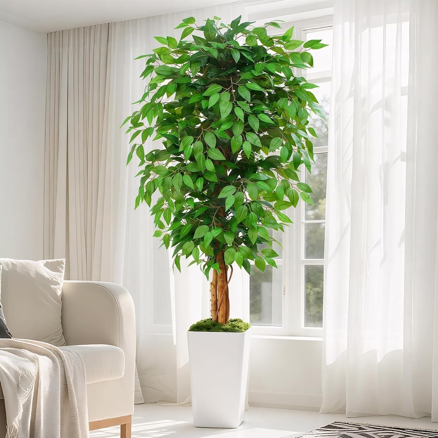6ft Artificial Ficus Tree Curved Wood Trunks White Planter Lush Faux Home Decor
