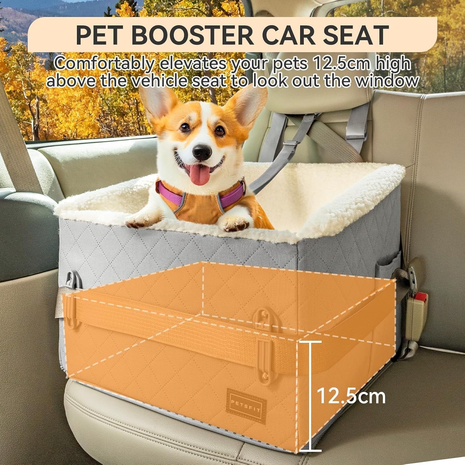 Dog Booster Car Seat Elevated Pet Travel Bed Safety Leash 13kg