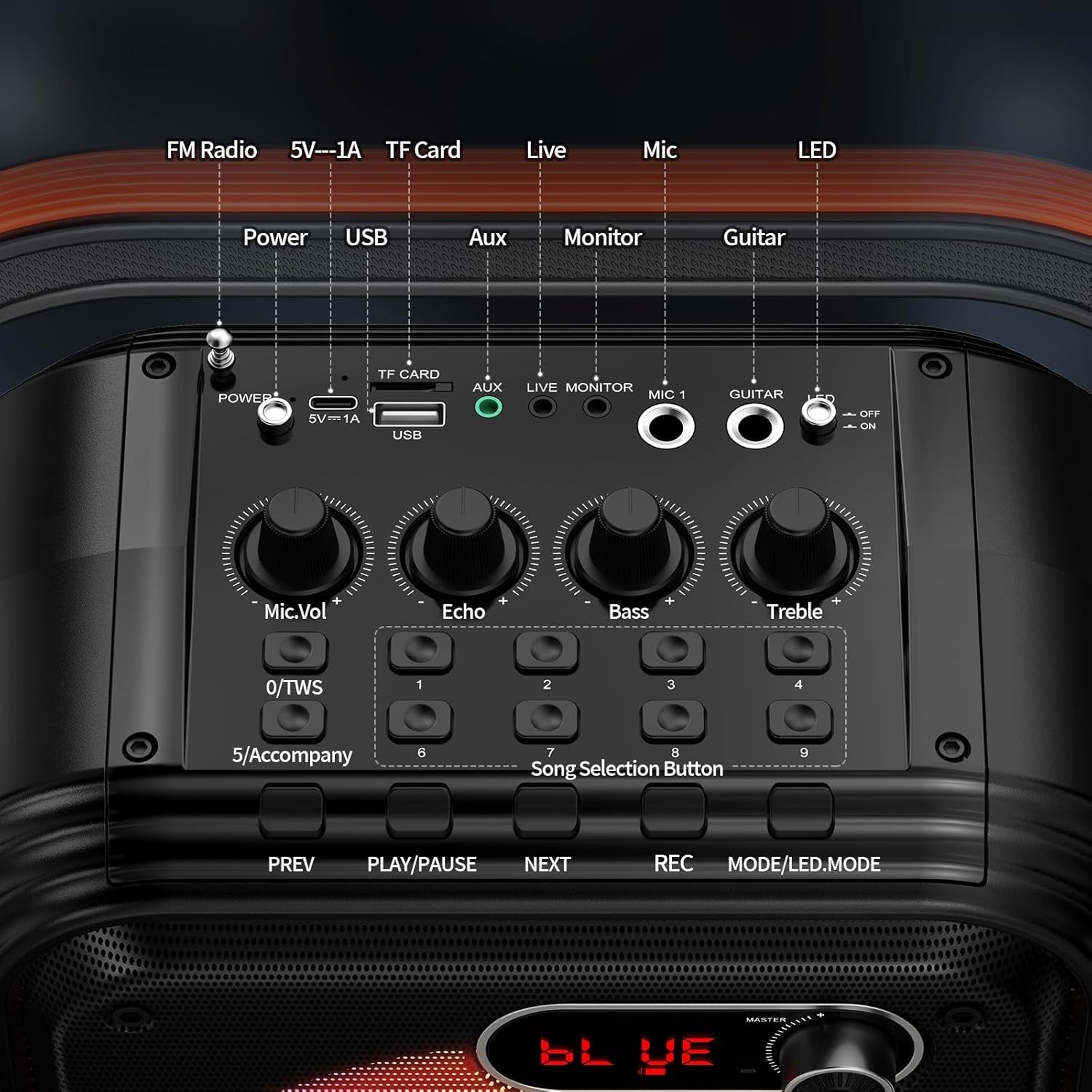 Karaoke Machine with 2 Wireless Mics RGB Bluetooth Speaker PA