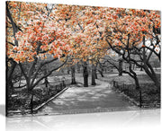 Black White Orange Blossom Canvas Wall Art Small Modern Home Decor
