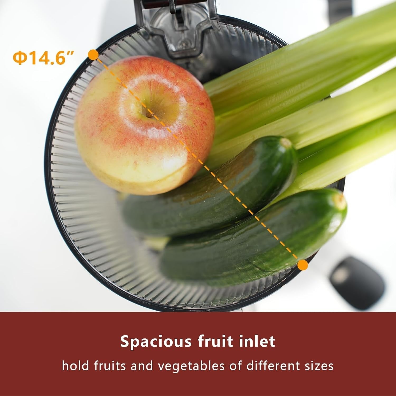 Cold Press Juicer 200W Whole Fruit Slow Masticating High Yield Silver Pro