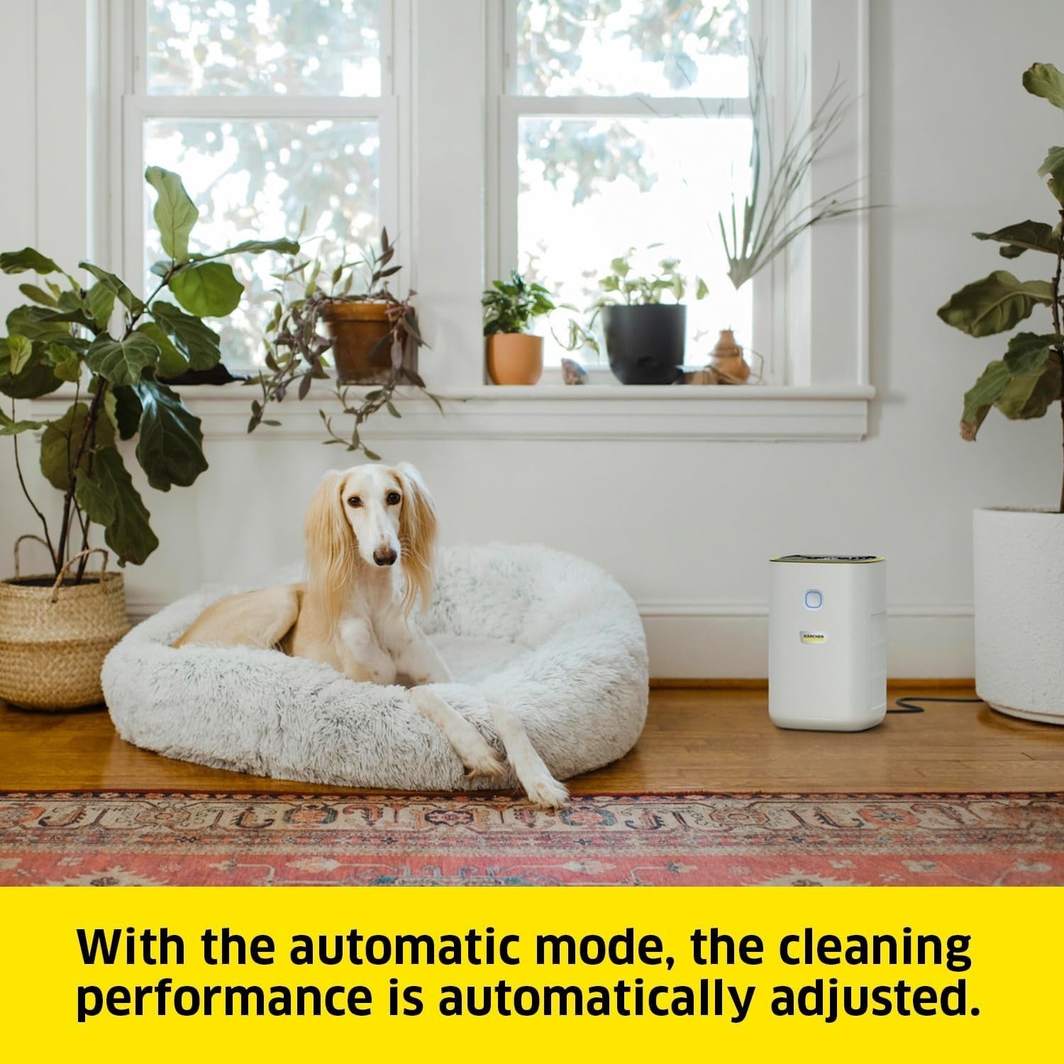 HEPA Air Purifier 220m³/h Small Room 20m² Auto Night Mode