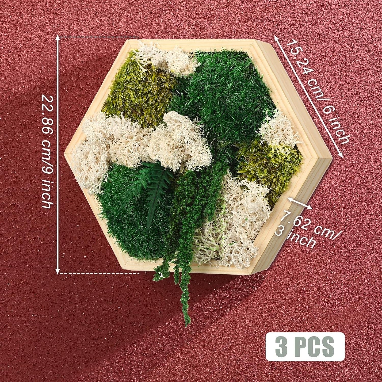 3Pc Moss Wall Art Hexagon Wood Frame Green Decor Hanging Set