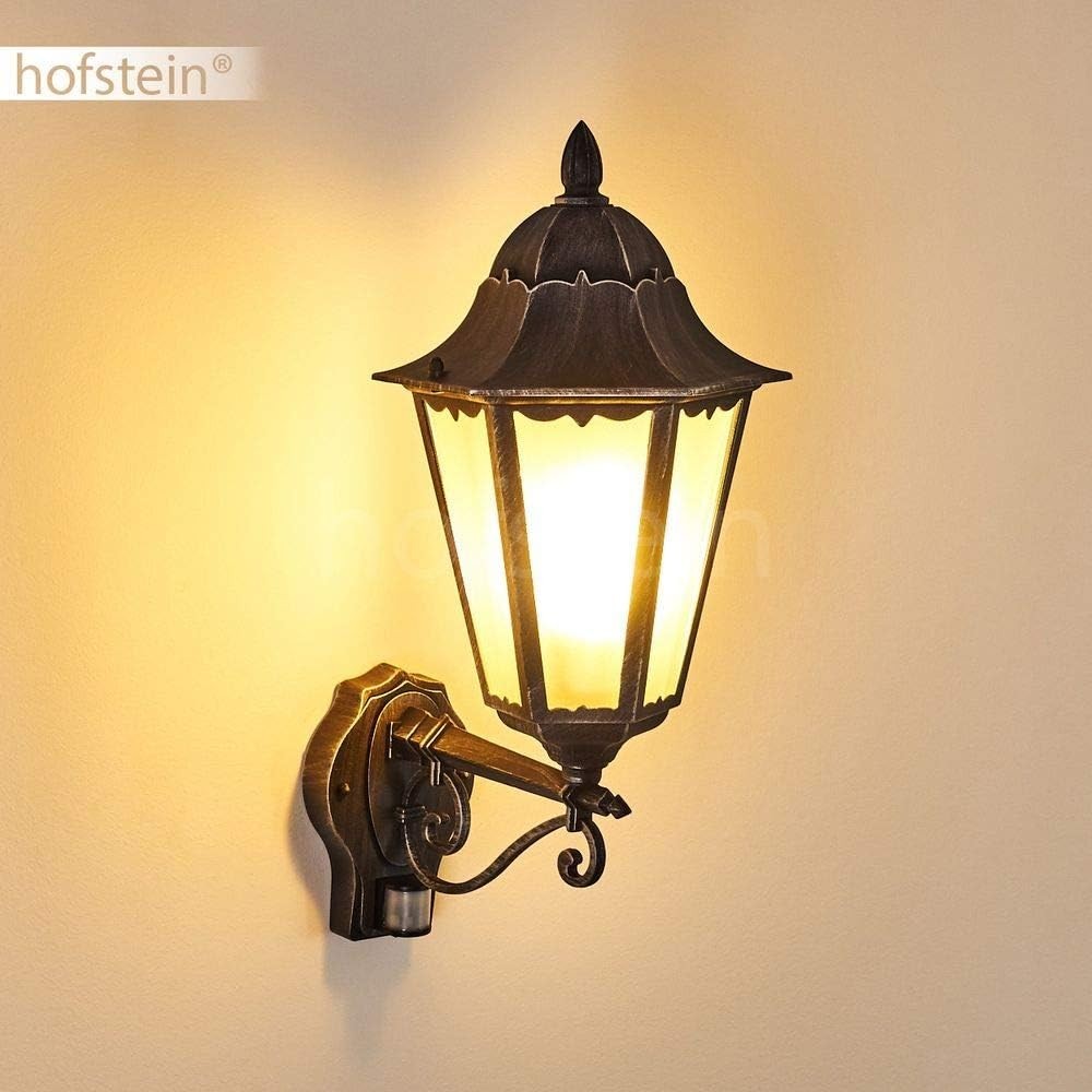 Outdoor Wall Lamp Lignac Frost with Motion Detector, Antique Black/Silver, E27