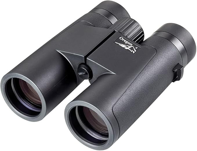 10x42 Compact Binoculars HD Waterproof BAK4 Prism Wide View Outdoor Travel