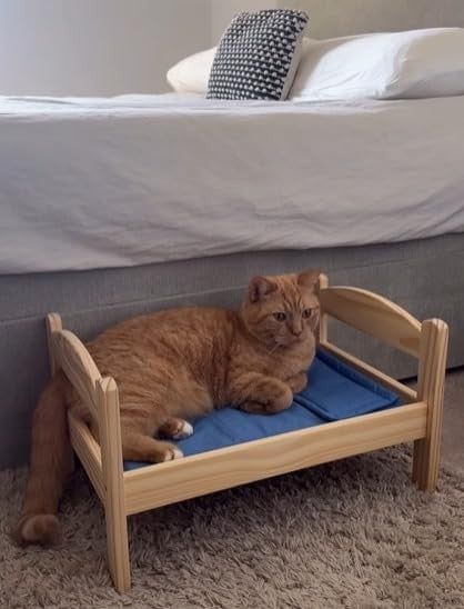 Wooden Cat & Dog Bed with Cushion Washable Orthopedic Pet Sofa