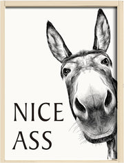 Funny Donkey Canvas Wall Art 12x16 in Black White Animal Quote Decor
