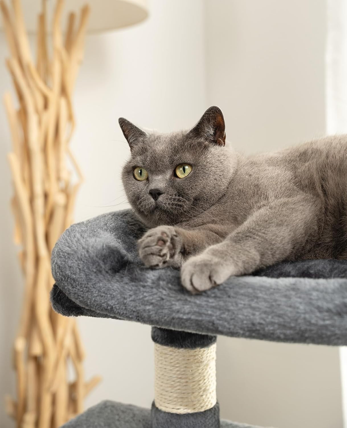 Cat Tree with 2 Condos Scratching Posts Plush Perch 80cm Dark Grey