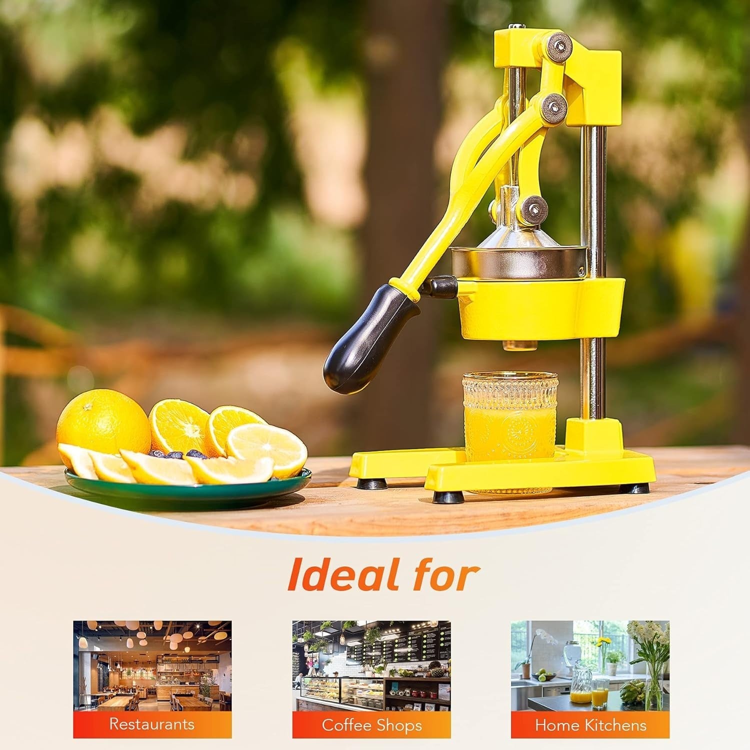 Commercial Manual Citrus Juicer Heavy Duty Hand Press Orange Lemon