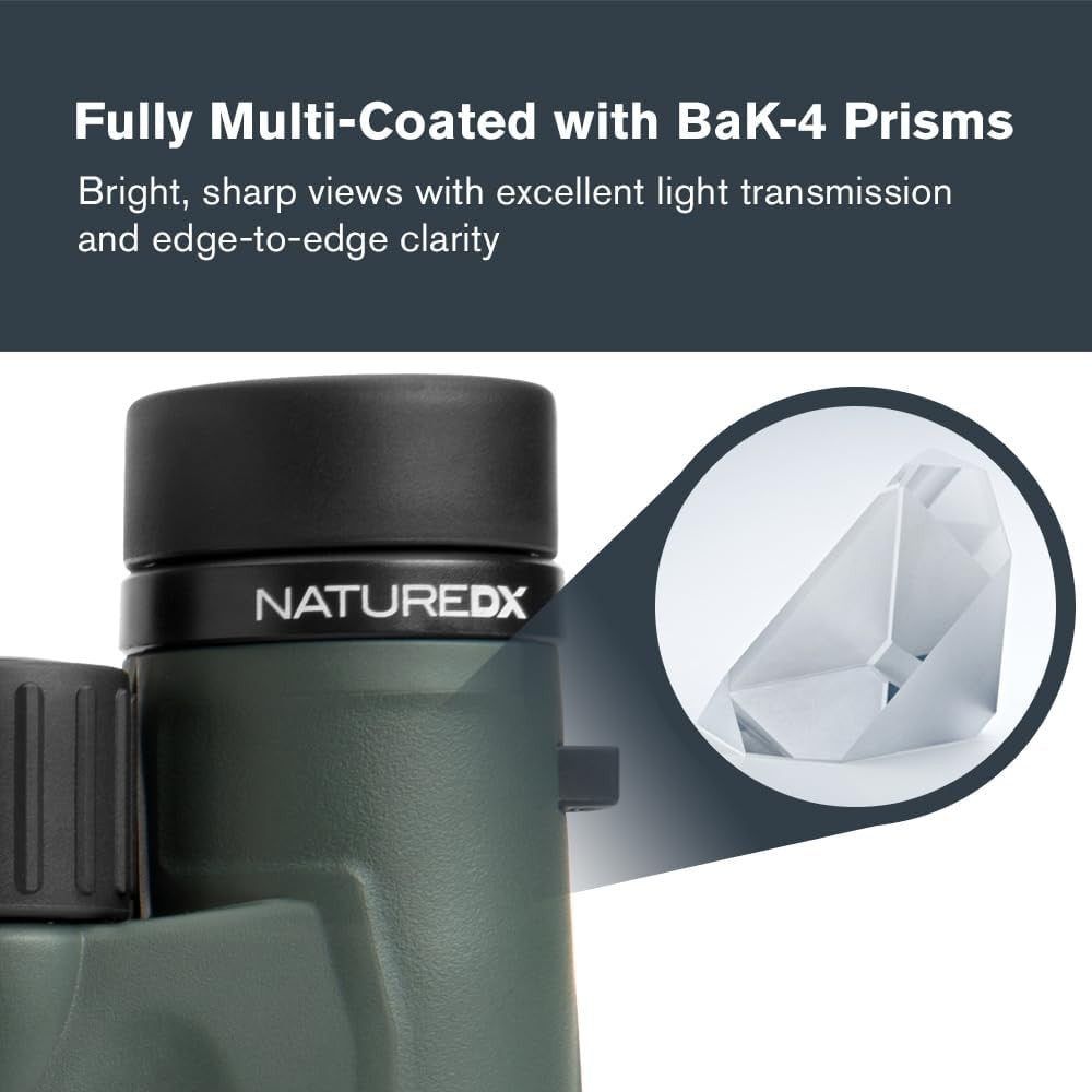 10x32 Waterproof Binoculars HD Compact Birdwatching Travel Outdoor Viewing