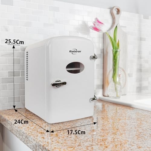 4L Mini Fridge White Retro Cooler Portable 12V AC/DC Tabletop