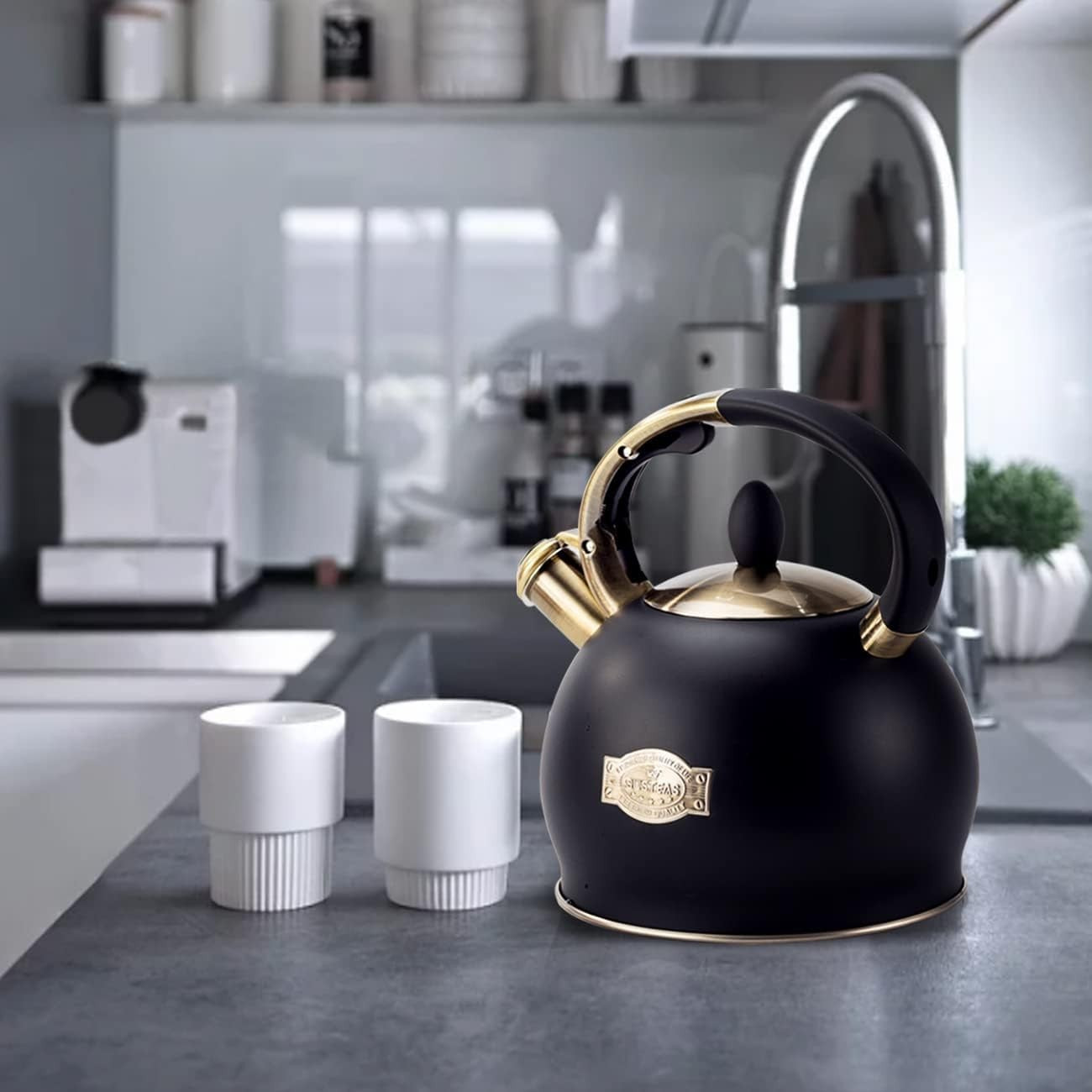 3L Whistling Tea Kettle Stainless Steel Stove Top Teapot Black
