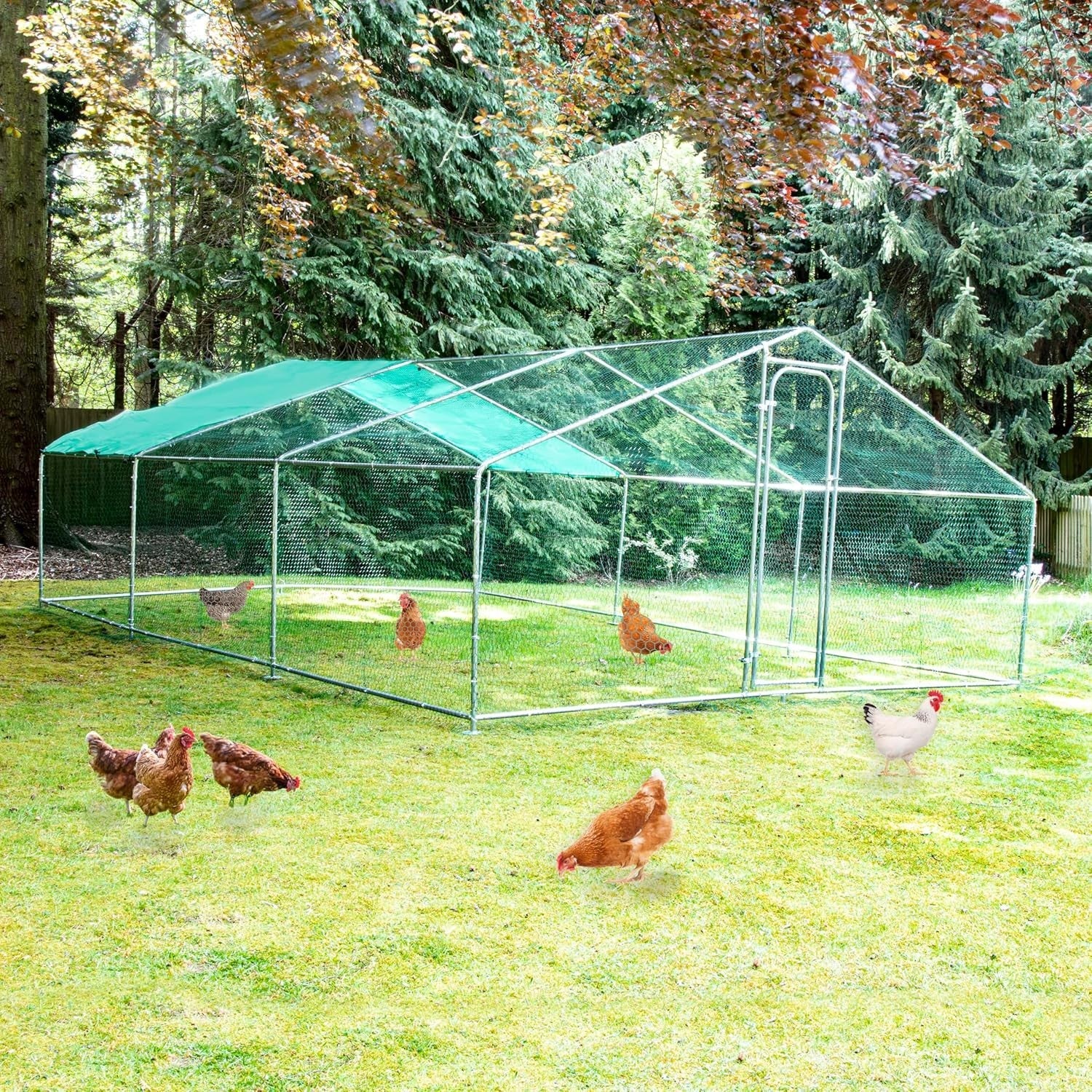 4x6m Walk In Chicken Run 25mm Galvanised Steel Pen