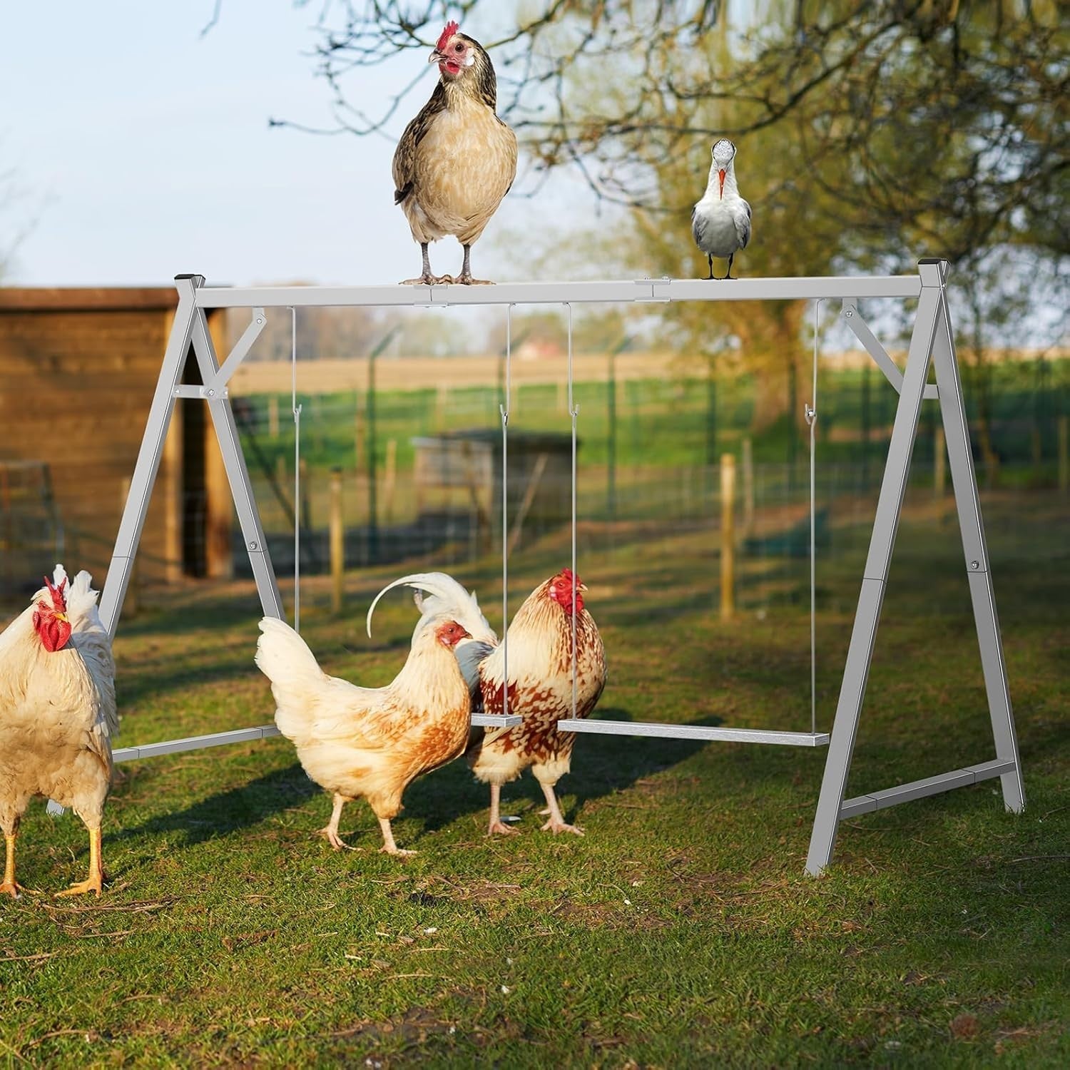 Chicken Roosting Bars Perch w 2 Swings 50x30x34in