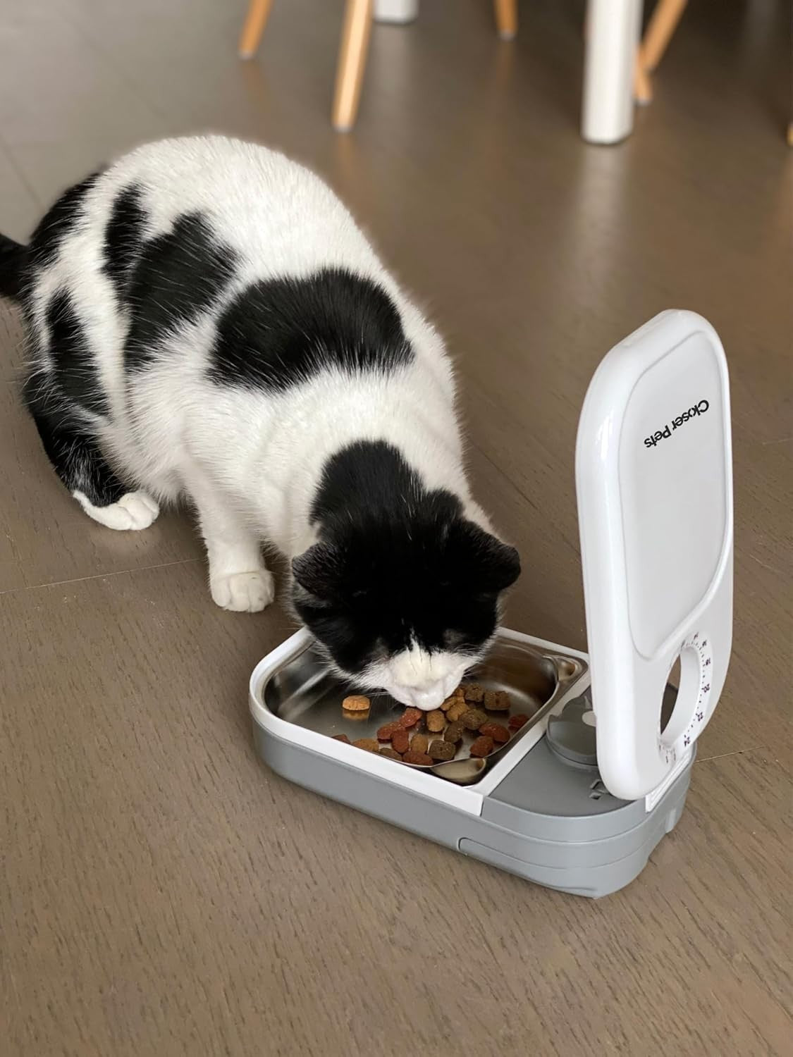 Automatic Pet Feeder Timer Wet Dry Food Dispenser 400g Capacity