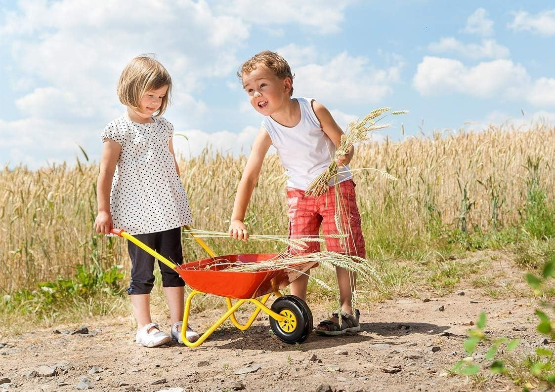 Kids Red Metal Wheelbarrow – Sturdy Garden Toy w/ Rubber Handles & Easy Build