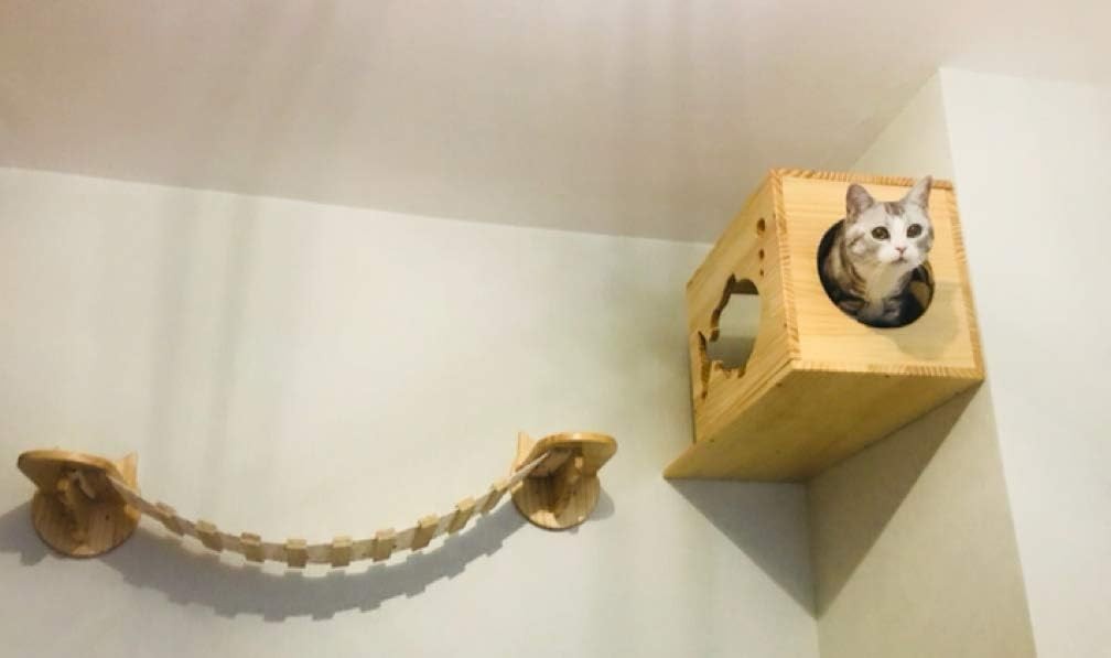 Wall Mounted Cat Climbing Shelves Wooden Perch Steps Space Saving Natural Wood
