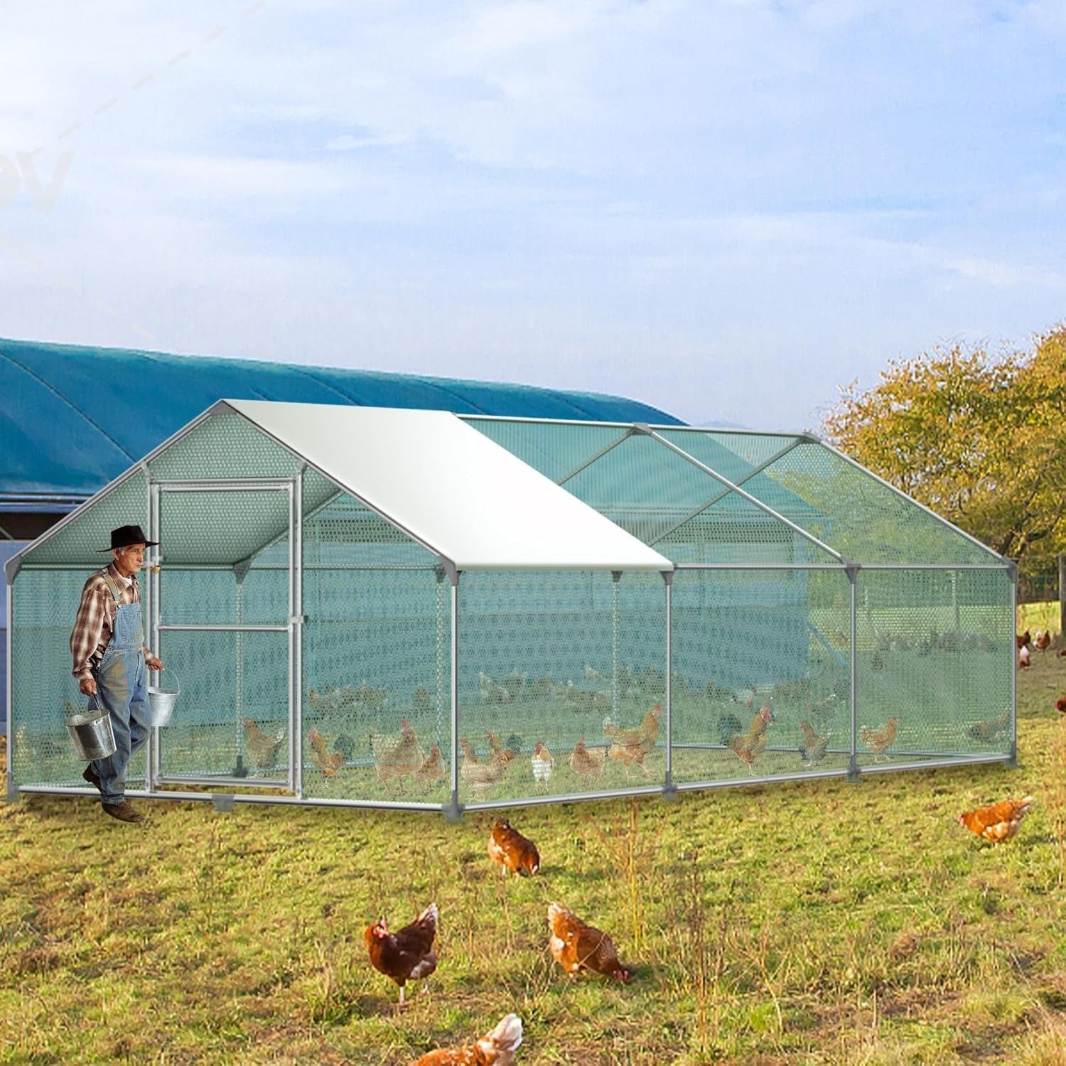XXXL Walk In Chicken Run Galvanised Steel Outdoor Pet Enclosure Roof