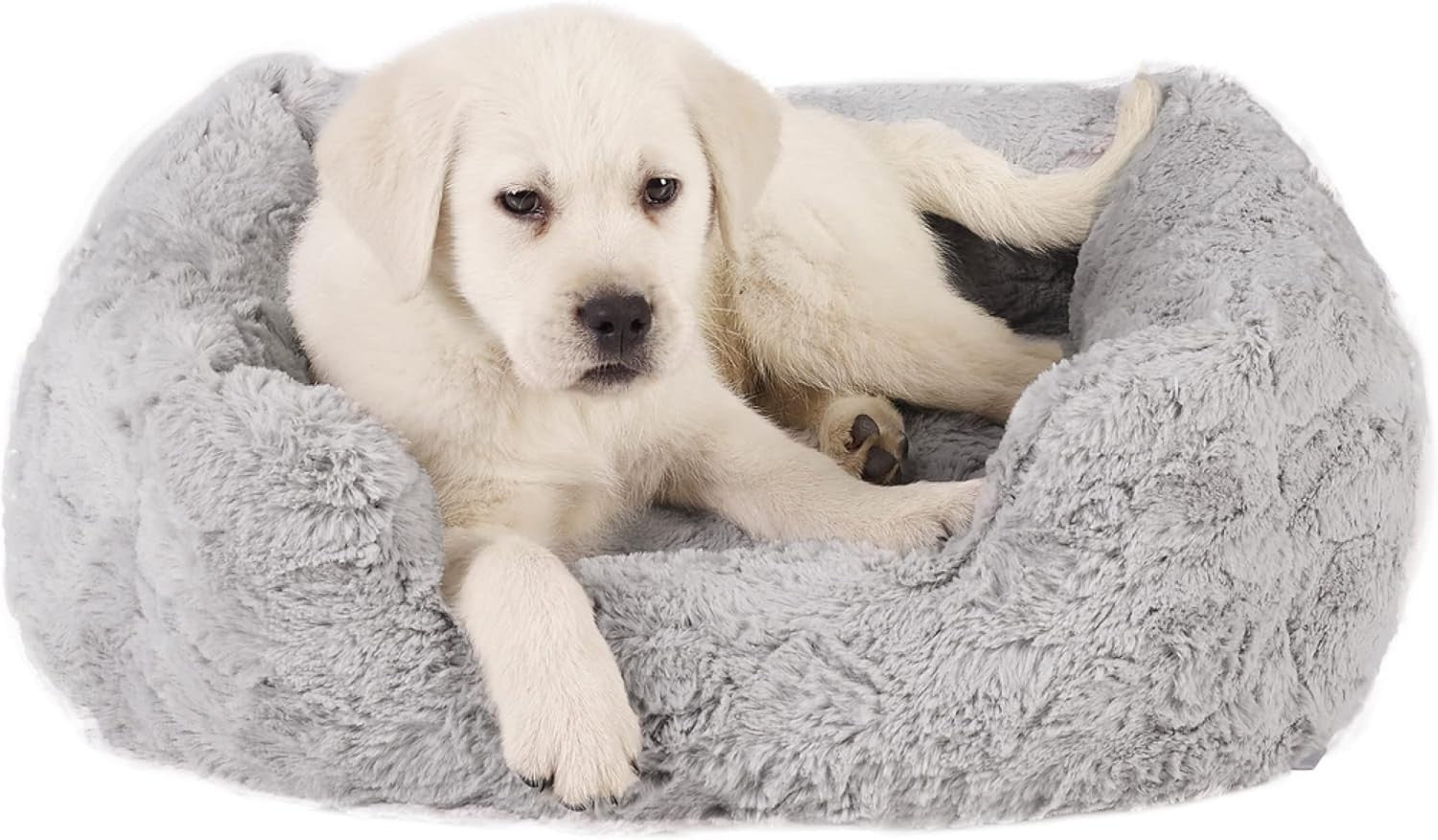 Small Orthopedic Memory Foam Dog Bed 20x15in Washable