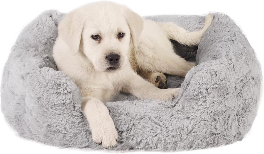 Small Orthopedic Memory Foam Dog Bed 20x15in Washable