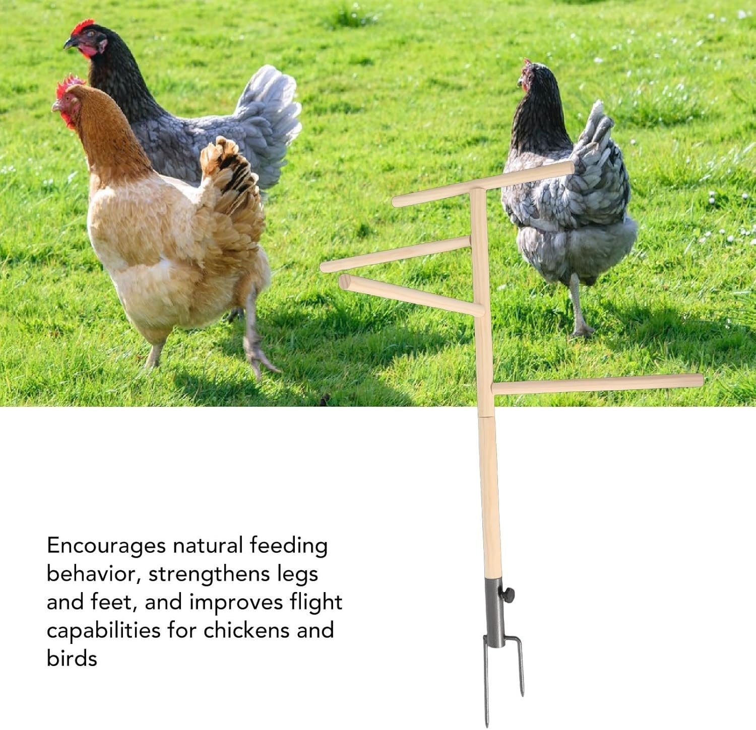 Large Wooden Chicken Perch Stand Roost Bar with Stake