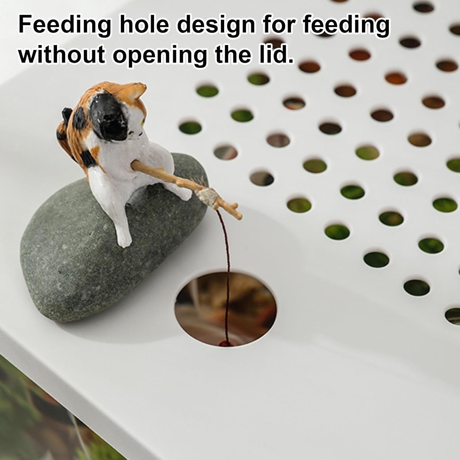 Desktop Aquarium Starter Kit | Small Turtle & Goldfish Tank for Home