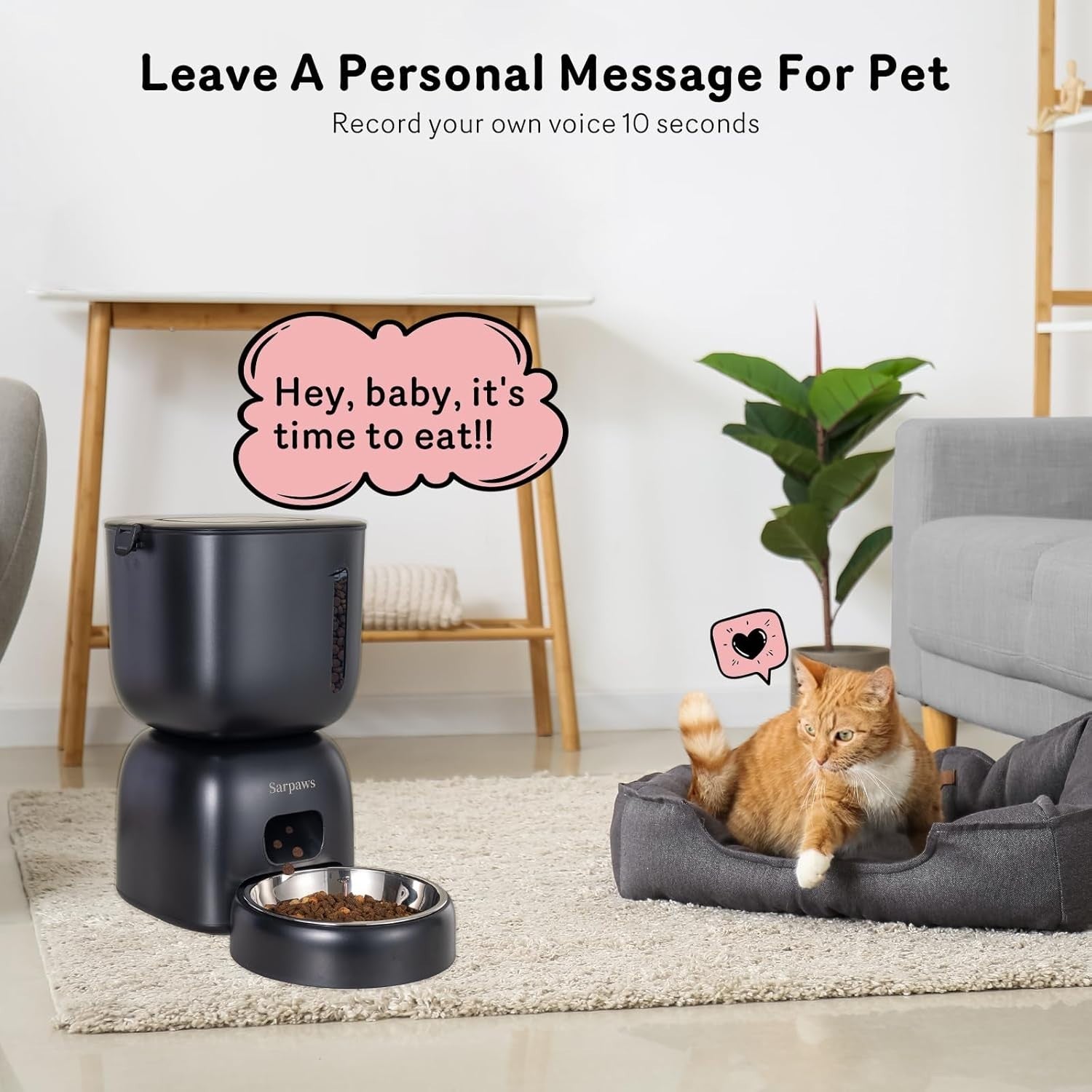 Automatic Cat Feeder Water Dispenser 3L Timed Pet Food Feeder Voice Record