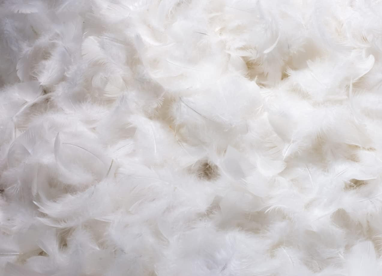 V Shaped Pregnancy Pillow Duck Feather Filled Firm Support Cotton Cover 32"