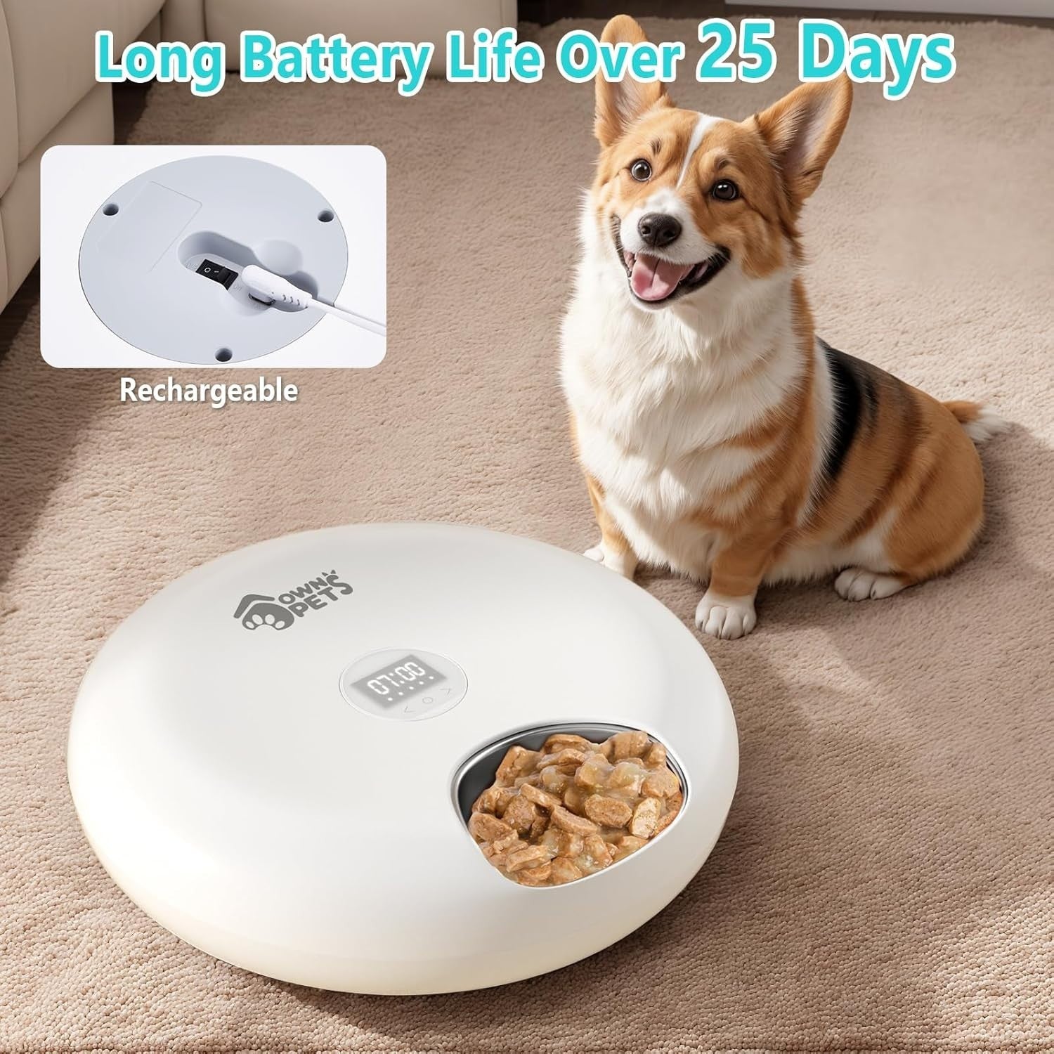 Automatic Wet Food Pet Feeder 6 Meal Timer Stainless Steel Ice Packs